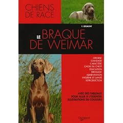 Le braque de Weimar