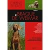 Le braque de Weimar