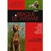 Le braque de Weimar