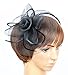 Fascinator on Hairclip for Women Mesh Feather Black