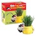 Chia Cat Grass Planter Featuring Sylvester & Tweety, 1 Kit
