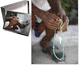 Photo Jigsaw Puzzle of Haitian woman praying with prayer beads, Port au Prince, Haiti, West Indies