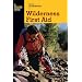 Basic Illustrated Wilderness First Aid (Basic Essentials Series)