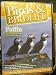 Birds & Birdlife - Up close with the Puffin Image