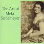 The Art of Meta Seinemeyer