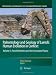 Paleontology and Geology of Laetoli: Human Evolution in Context: Volume 2: Fossil Hominins and the Associated Fauna (Vertebrate Paleobiology and Paleoanthropology)