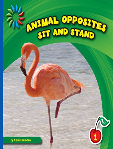 Sit and Stand (21st Century Basic Skills Library: Animal Opposites)