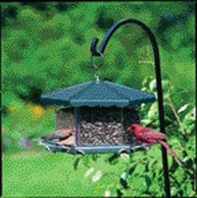 Party Bird Feeder Gray
