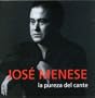 La Pureza Del Cante