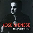 La Pureza Del Cante