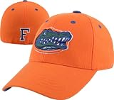 Florida Gators Dynasty Alternate Team Color Fitted Hat - B0000A1DUC