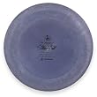 DGA Blowfly Putt and Approach Disc
