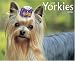Just Yorkies 2008 Calendar (Just) by Willow Creek Press