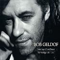 Great Songs Of Indifference: The Bob Geldof Anthology 1986-2001