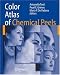 Color Atlas of Chemical Peels