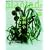 PLANTED #7 (2008)�\�A���ƕ�炷�I�[�K�j�b�N�E���C�t�X�^�C�� (�������b�N)