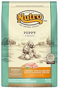 The Nutro Company Wholesome Essentials Puppy Food with Chicken, Whole Brown Rice and Oatmeal Formula, 30-Pound