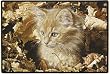 Amber's First Autumn Tabby Cat MousePad Mouse Pad