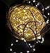 Starry Lights With Remote Control 20 Feet 120 LED Warm White Dimmable String Light. Lights Blink or Fade. Fairy or Flashing Effects.