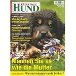 Partner Hund