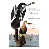 The Birds of America Volume 2 ~ Barry Massoni