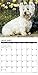 2016 Just Westies Wall Calendar