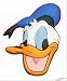 Donald Duck like - Jibbitz - canard