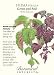 Shiso Perilla Green & Red Seeds - .50 grams