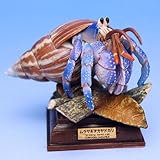 ネイチャーテクニカラー 小笠原 【4.ムラサキオカヤドカリ】(単品)