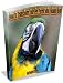 How to Transform Your Pet Parrot into a Happy Bird