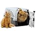 NOZTONOZ�@petsuite�@�y�b�g�X�C�[�g�@M�@�̏d11.3kg�܂ł̃y�b�g�p