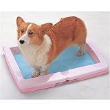 �A�C���X�I�[���} ���^�b�`���g�C�����C�hON-590W������s���N