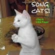 Song Cats!: I Say A Little Prayer