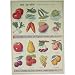 In the Garden Vegetables Fruit Cavallini Gift Wrap Decoupage Paper, One