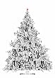Der typografische Adventskalender: Withe Edition