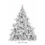 Der typografische Adventskalender: Withe Edition
