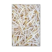 俺たちの燃え★スリーブ もやし 「マシマシ」