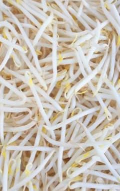 俺たちの燃え★スリーブ もやし 「マシマシ」