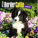 Border Collie Puppies 18-Month 2014 Calendar (Multilingual Edition)