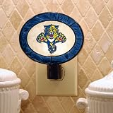 Florida Panthers Art Glass Night Light