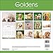 2015 Goldens Wall Calendar Trends International