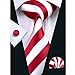 Hi-Tie Mens Red Silk Tie set