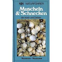 Muscheln & Schnecken der Nord- und Ostsee