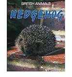 Hedgehog