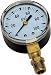 Flotec TC2104-P2 Well Pump Pressure Gauge