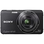 Sony Cyber-shot DSC-W630 16.1MP Point-and-Shoot Digital Camera (Black) with Camera Case