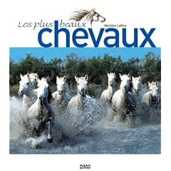 Les plus beaux chevaux