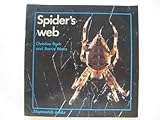 Spider's web