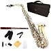 Cecilio 2Series AS-280LN Gold Lacquer w/ Nickel Plated Keys Alto Saxophone w/ Carrying Case and Accessories