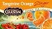 Celestial Seasonings Herb Tea, Tangerine Orange Zinger, Tea Bags, 20-Count Boxes (Pack of 6)  [Amazon Frustration-Free Packaging]